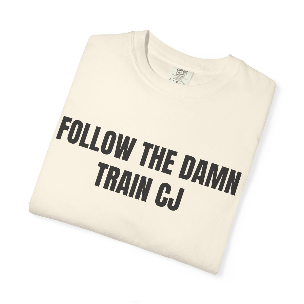 Follow The Damn Train CJ Shirt