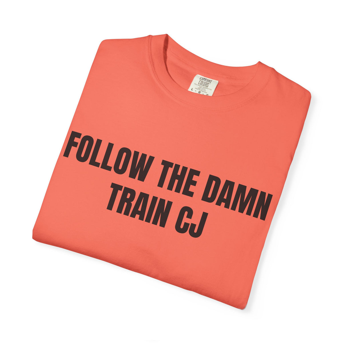 Follow The Damn Train CJ Shirt