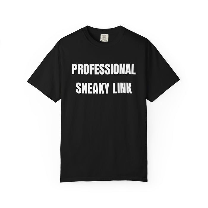 Professional Sneaky Link